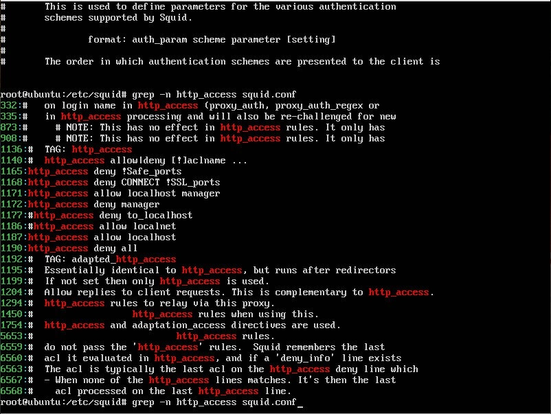 How To Install And Configure Squid Proxy Server On Ubuntu Vps (Easy 5 Minute Guide) Image 1 Configuring squid access